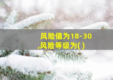 风险值为18-30,风险等级为( )